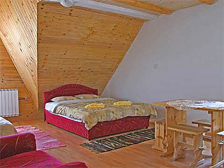 VILA RADIGOST Kopaonik - Photo 2