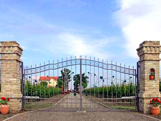 WINEYARD AND WINERY VINDULO Temerin - Photo 1