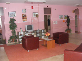 INSTITUTIONS FOR ADULTS AND OLDER LESKOVAC Leskovac - Photo 2