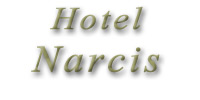 HOTEL NARCIS Valjevo - Slika logo 