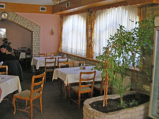 RESTAURANT EUROPE AT ZLATICA Kraljevo - Photo 2