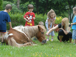 CHILDRENS SUMMER CAMP STANISICI ON GOC Vrnjacka Banja - Photo 2