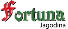 SUR FORTUNA TIP TOP AGENCIJA SVETI LUKA JAGODINA Jagodina - Slika logo 