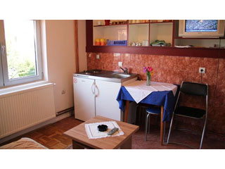 APARTMANI JEVTIĆ Zlatibor - Slika 3