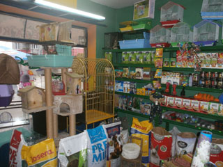 PET STORE AMAZONAC Jagodina - Photo 2