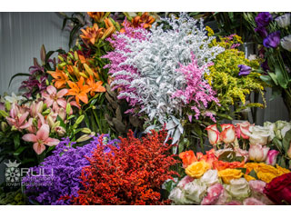 FLOWER SHOP ANASTASIA Pozarevac - Photo 5