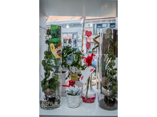 FLOWER SHOP ANASTASIA Pozarevac - Photo 7