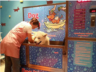 DOG WASH BUBBLE Novi Sad - Photo 2