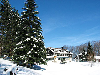 HOLIDAY HOME GUCEVO Banja Koviljaca - Photo 1